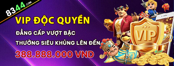 Hình ảnh quảng cáo của kings hiển thị nền tảng và các lợi ích